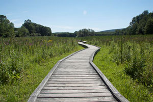Short Hikes in NJ