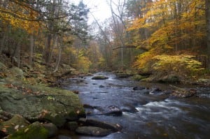 Escape to the Wild: Discover the Magic of Hacklebarney State Park