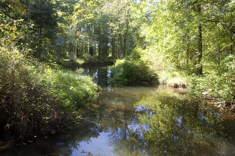 Great Swamp Nwr 