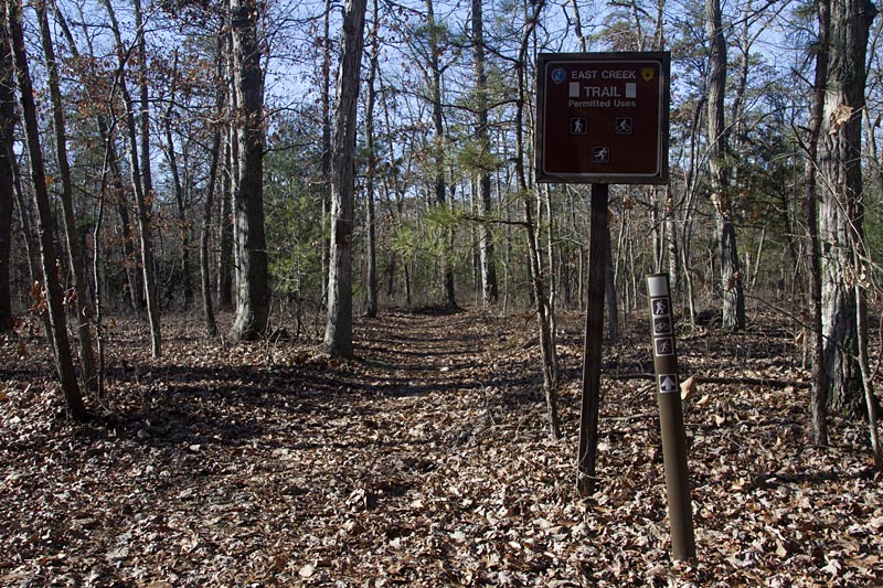 Belleplain State Forest - East Creek Trail | njHiking.com