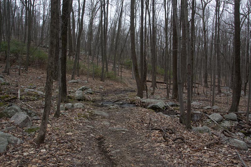 Wanaque Ridge in March | njHiking.com