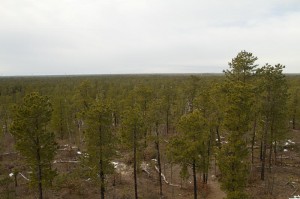 Jakes Branch County Park - View from Visitor Center