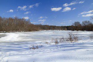 Turkey Swamp County Park | njHiking.com