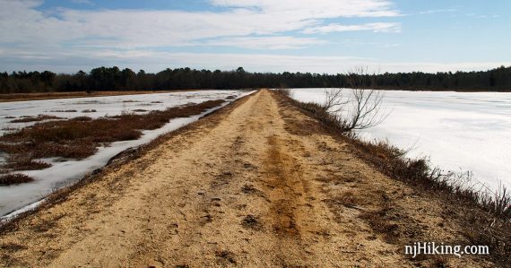 Sand road between two frozen cranberry bogs.