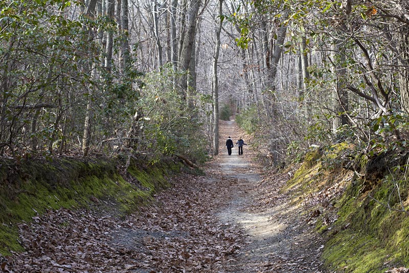 Hartshorne Woods In December Njhiking Com