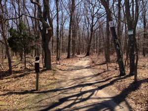 Tamarack Hollow Preserve | njHiking.com