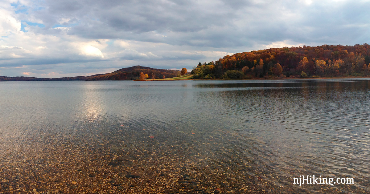 are dogs allowed at spruce valley reservoir nj