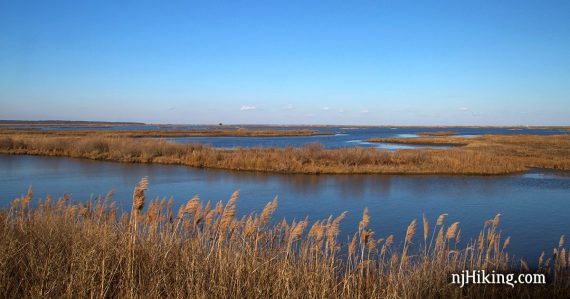 Brown marsh grasses in the foreground with blue wetlands beyond.