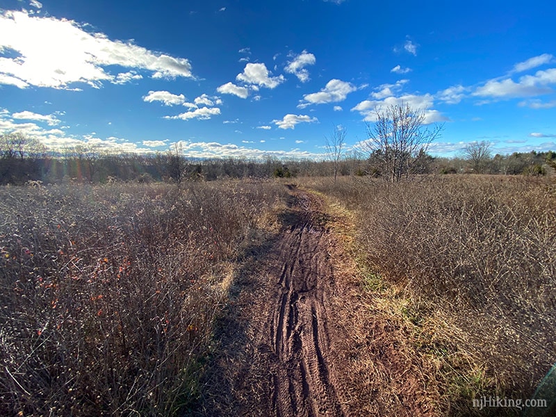 Six Mile Run – Canal Road | njHiking.com