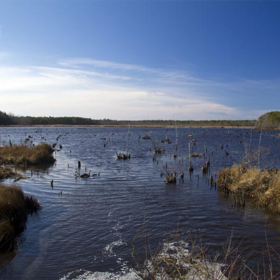 Brendan Byrne - Pakim Pond And Mt. Misery 