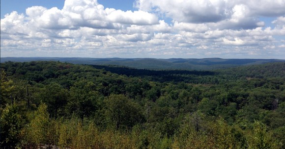 View from Lichen Trail.