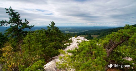 White rock outcrop, pine trees, and an expansive view over a town below.