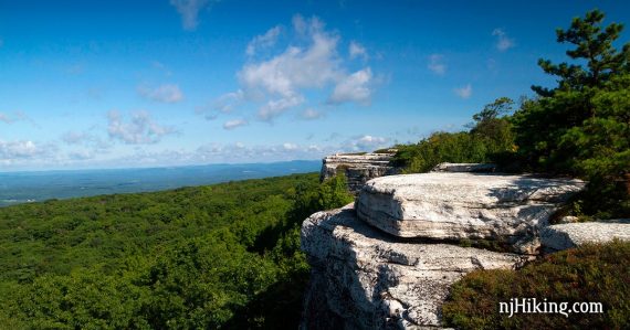 White cliffs of Sam's Point against bright green tree tops.