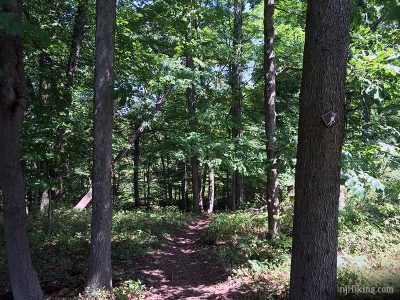 Bunker Hill Natural Area | njHiking.com