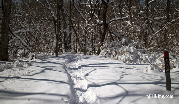 Six Mile Run Reservoir – Red Trail | njHiking.com