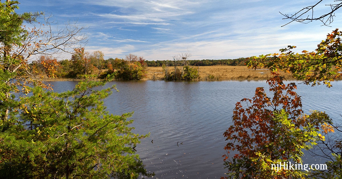 maurice river bluffs bike trail