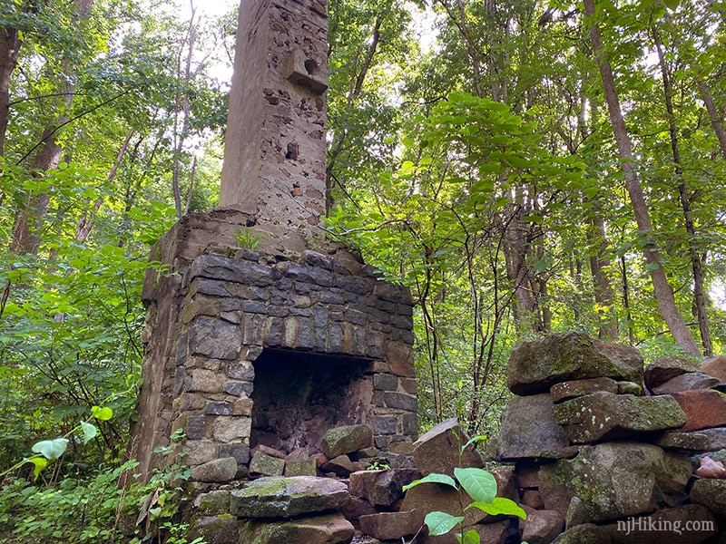 Baldpate Mountain – Ted Stiles Preserve | njHiking.com