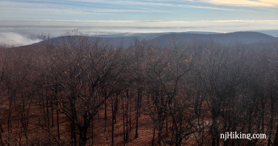 Jackie Jones fire tower