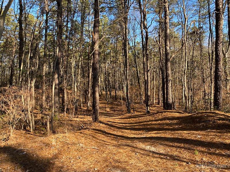 Black Run Preserve | njHiking.com