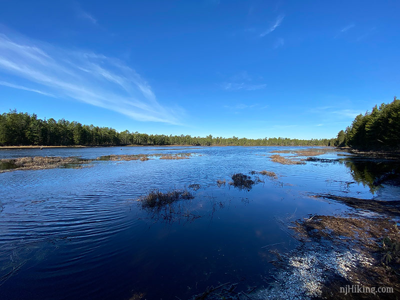 Batsto Lake Trail – Wharton State Forest | njHiking.com