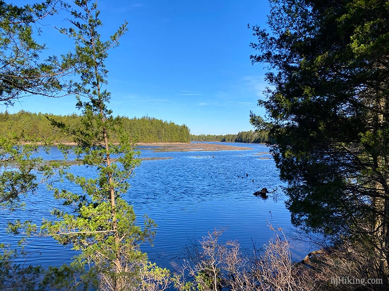 Batsto Lake Trail – Wharton State Forest | njHiking.com