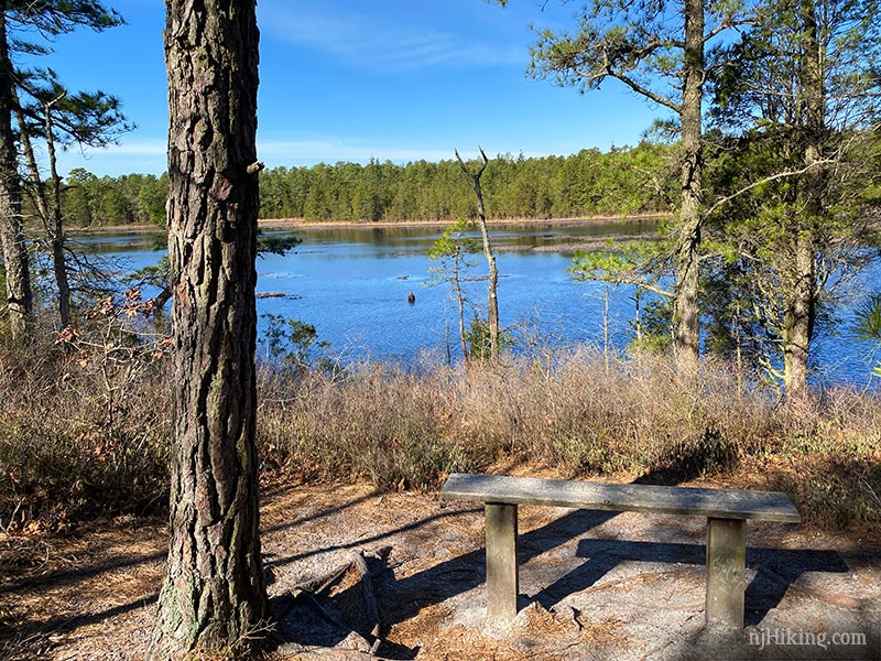 Batsto Lake Trail – Wharton State Forest | njHiking.com