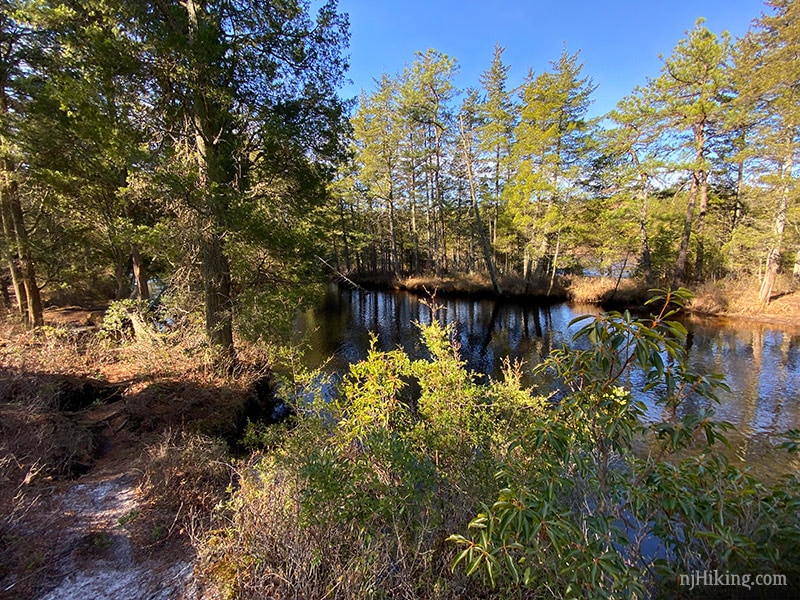 Batsto Lake Trail – Wharton State Forest | njHiking.com