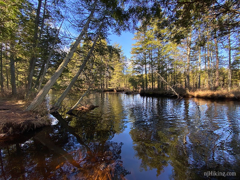 Batsto Lake Trail – Wharton State Forest | njHiking.com