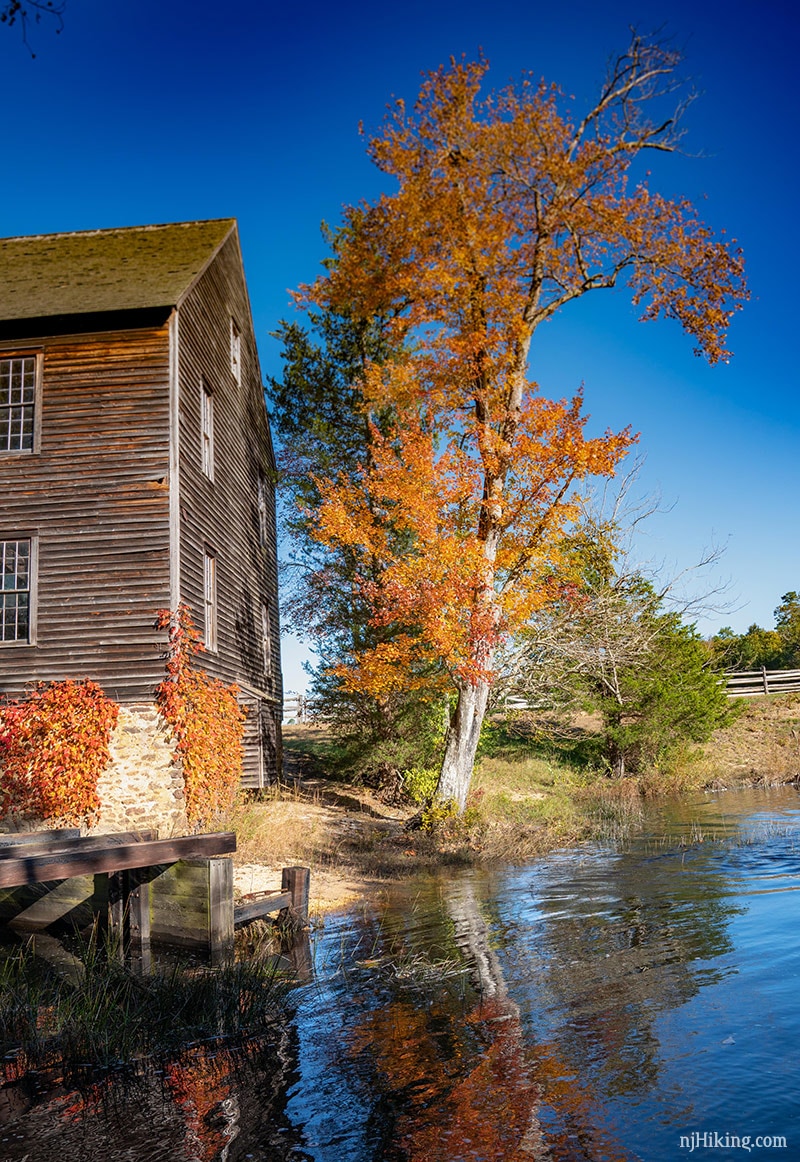 Batsto Lake Trail – Wharton State Forest | njHiking.com