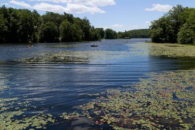 Wawayanda Lake