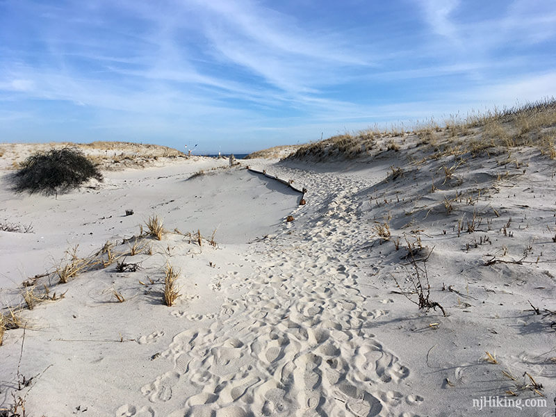 Island Beach State Park