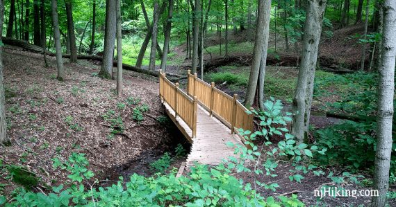 Rutgers Ecological Preserve.