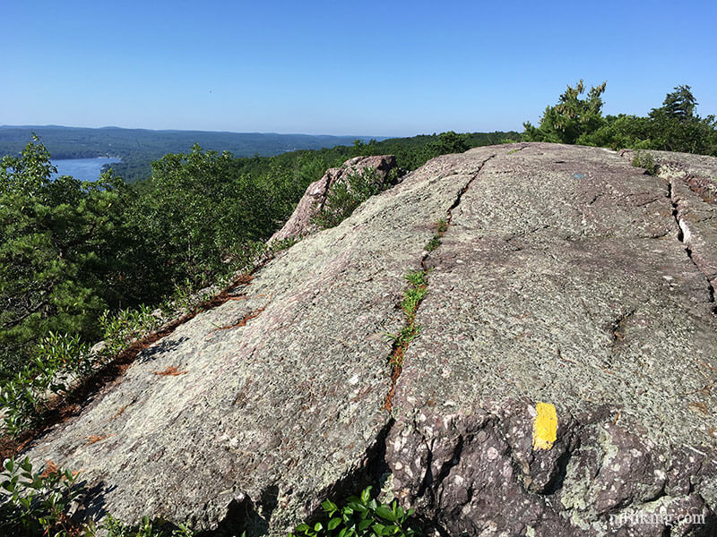 Bearfort Mountain – State Line to Surprise Lake in Summer | njHiking.com