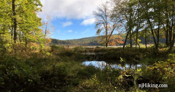 Small lake with green foliage in the foreground and blue sky above.