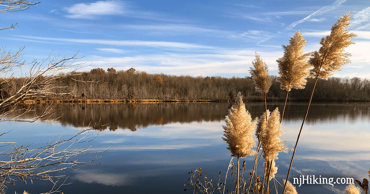 Plainsboro Preserve | njHiking.com