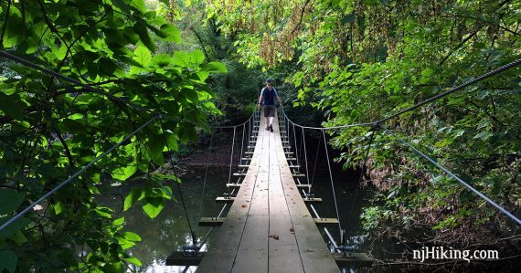 Hiker crossing the swinging bridge in Institute Woods.