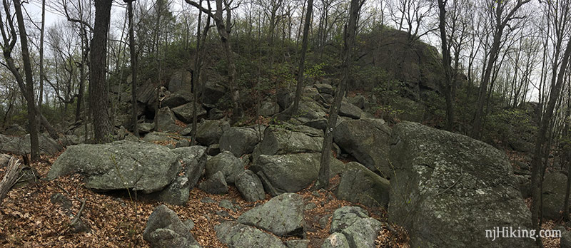 Raccoon Brook Hills rocky trail.