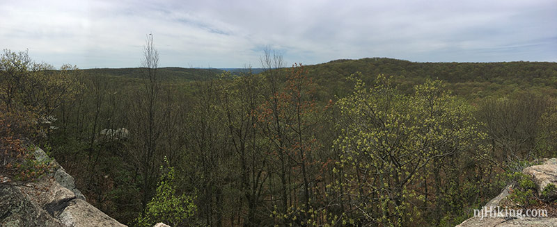 View of green hills from a trail.