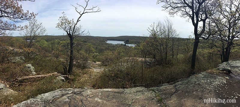 View from Diamond Mountain.