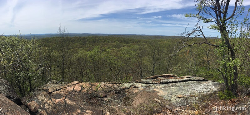 Wide viewpoint looking over green trees.