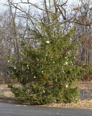 South Mountain Reservation – Hemlock Falls | njHiking.com