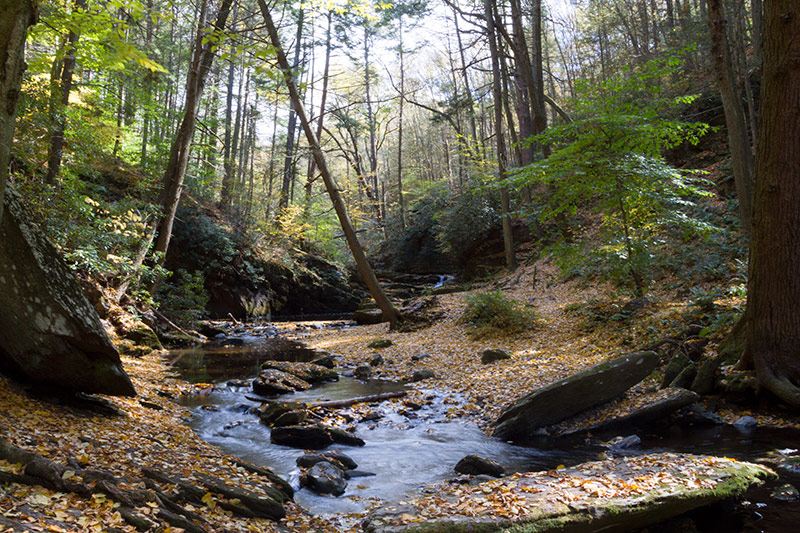 Van Campens Glen | njHiking.com