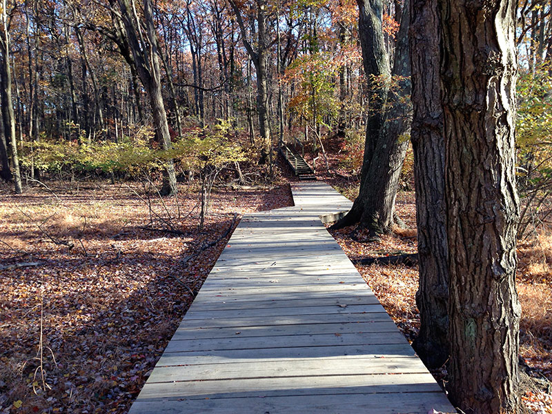 Cheesequake State Park - Green Trail  njHiking.com