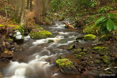 Tillman Ravine | njHiking.com