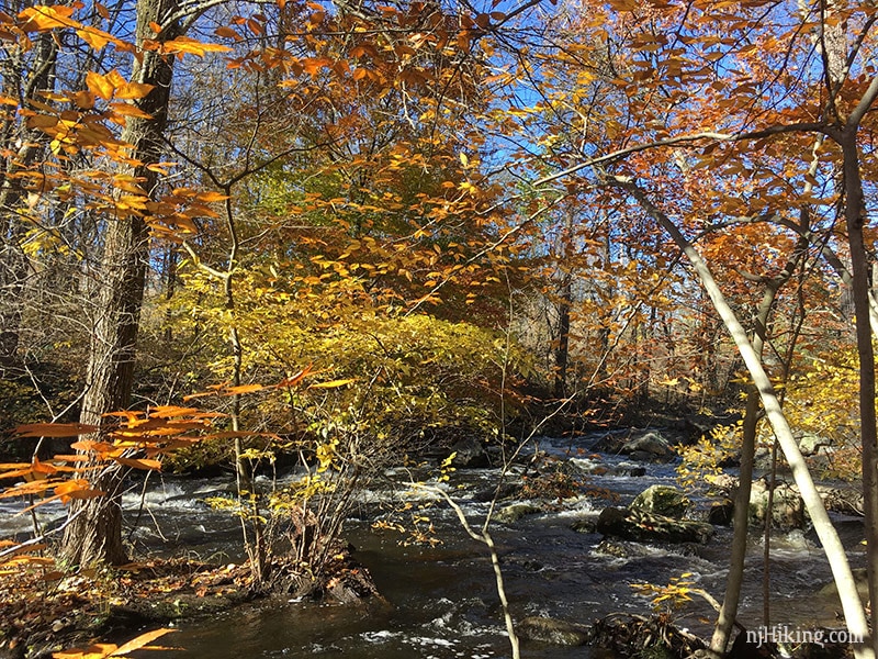 Black River County Park – Cooper Mill | njHiking.com