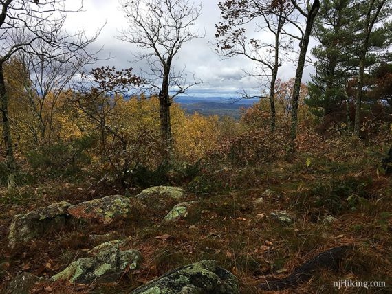 Looking towards PA from Unmarked Trail