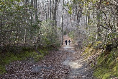 Cuestra Ridge Trail