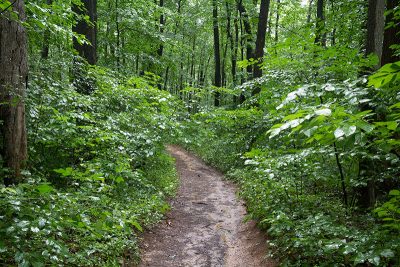 Clayton Park | njHiking.com