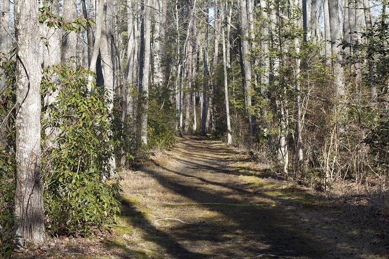 Estell Manor Park - Pine Barrens and Military History | njHiking.com