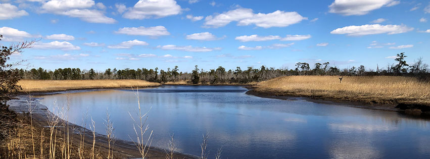 South River in Estell Manor Park.